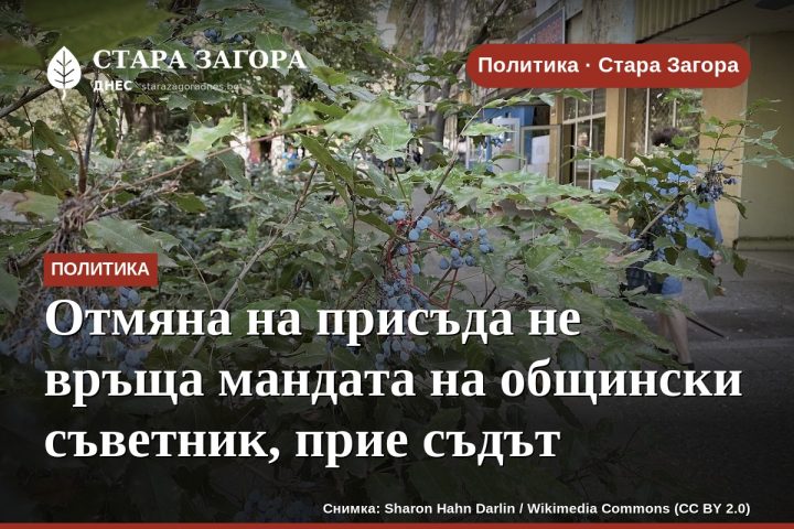 Отмяна на присъда не връща мандата на общински съветник, прие съдът