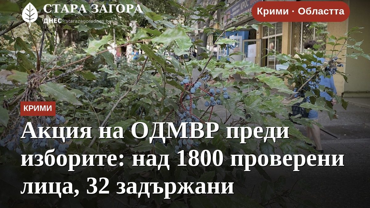 Акция на ОДМВР преди изборите: над 1800 проверени лица, 32 задържани