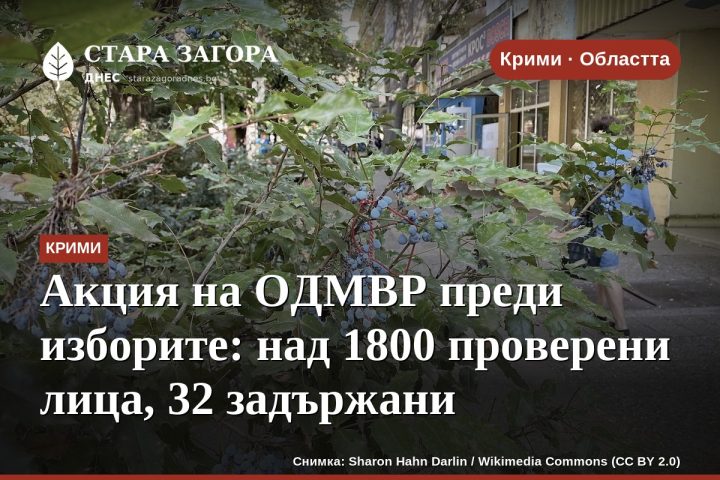 Акция на ОДМВР преди изборите: над 1800 проверени лица, 32 задържани