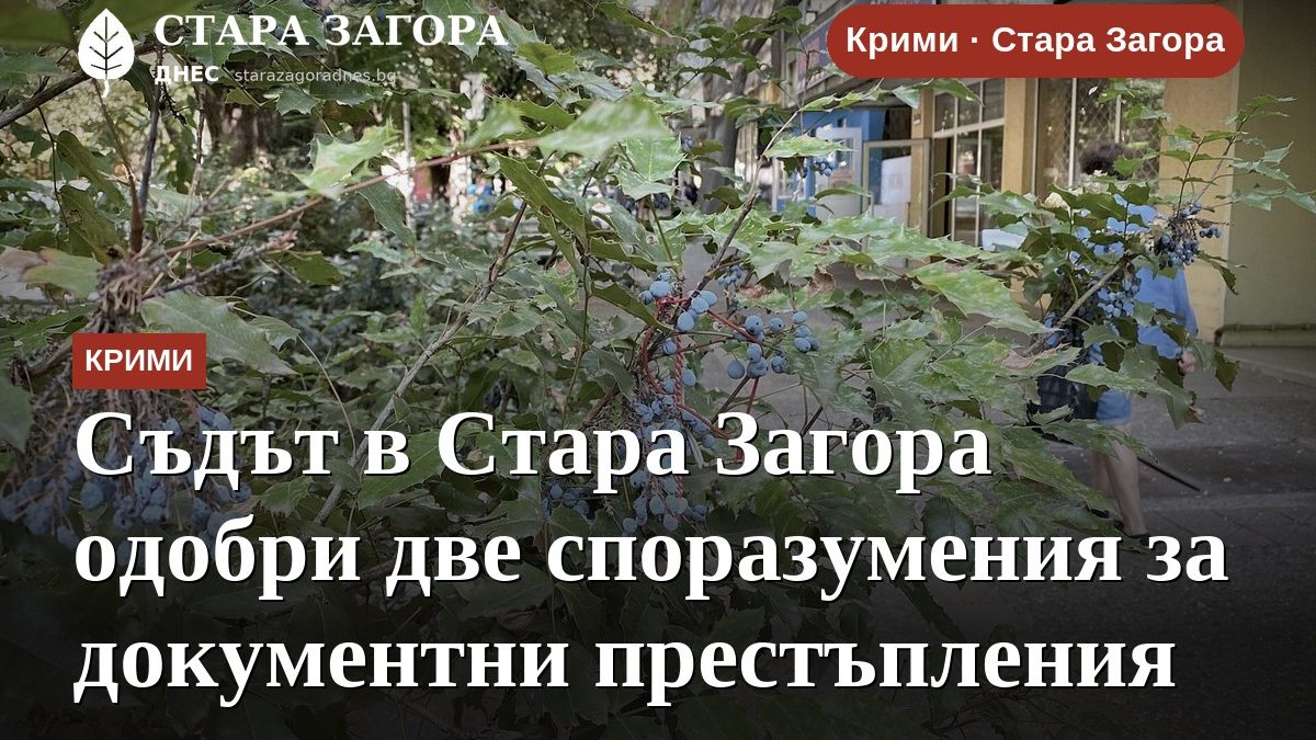 Съдът в Стара Загора одобри две споразумения за документни престъпления