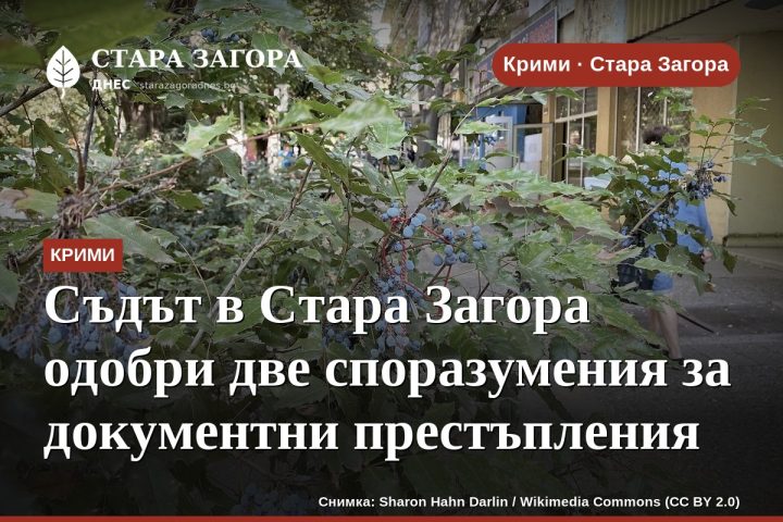 Съдът в Стара Загора одобри две споразумения за документни престъпления