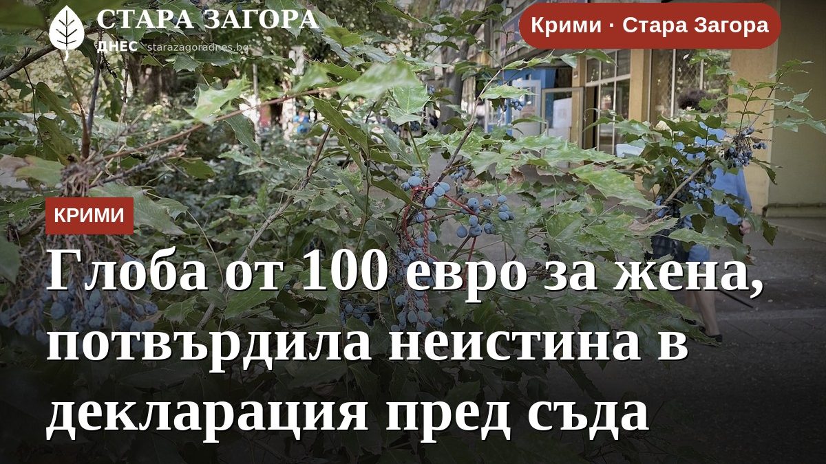Глоба от 100 евро за жена, потвърдила неистина в декларация пред съда