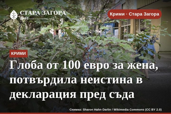 Глоба от 100 евро за жена, потвърдила неистина в декларация пред съда