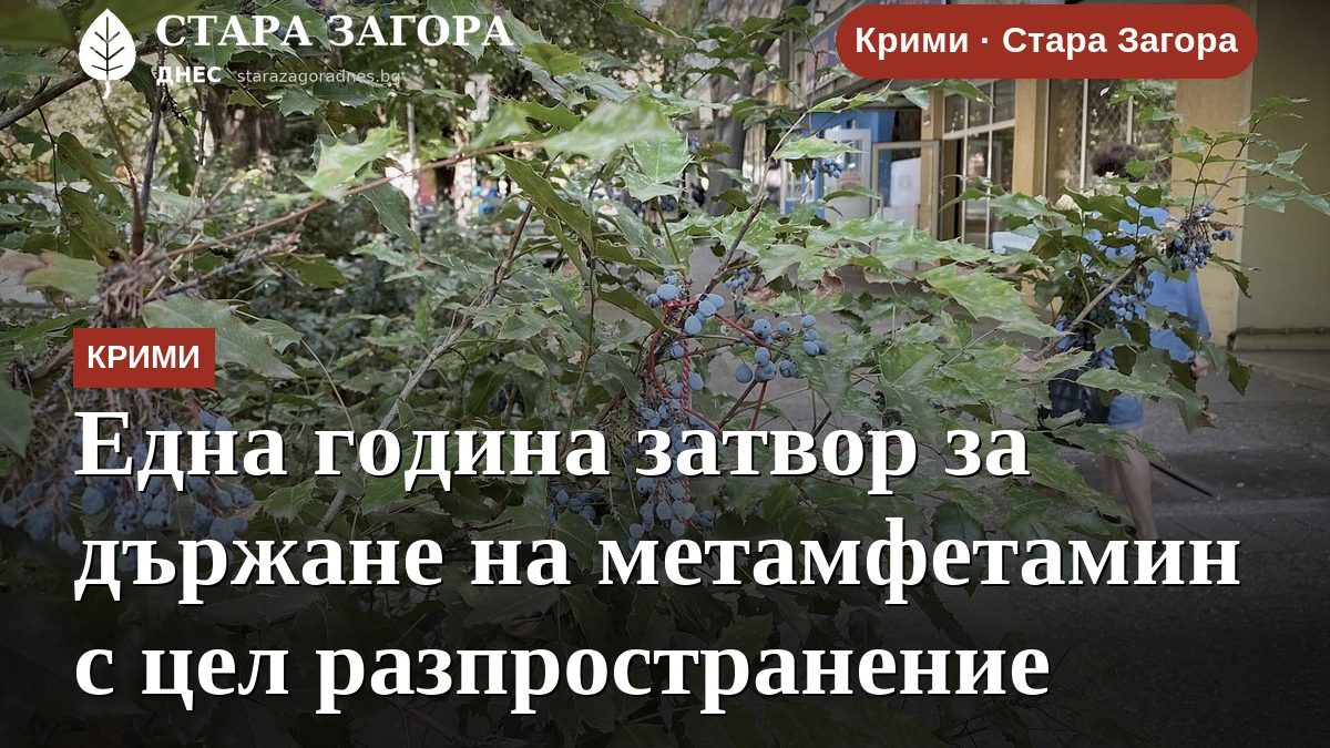 Една година затвор за държане на метамфетамин с цел разпространение