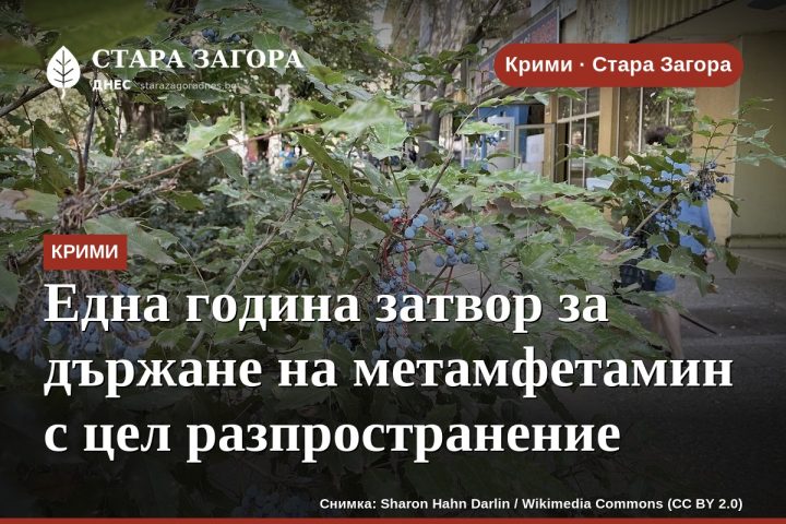 Една година затвор за държане на метамфетамин с цел разпространение