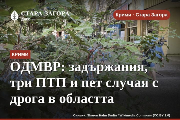 ОДМВР: задържания, три ПТП и пет случая с дрога в областта