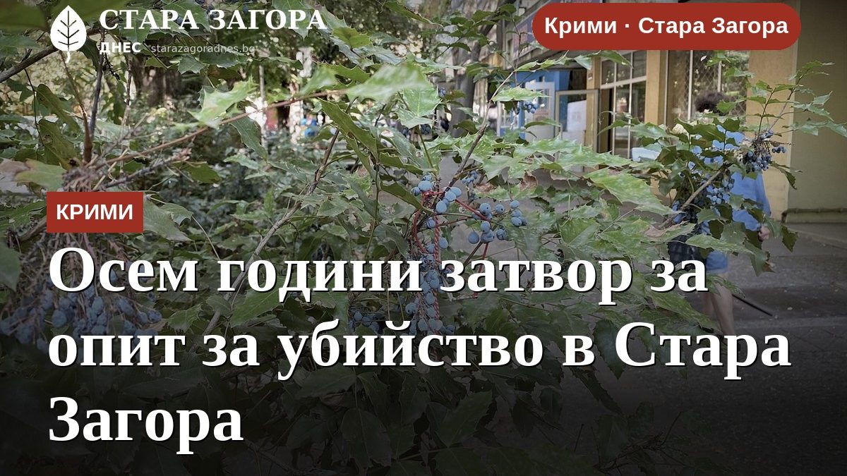 Осем години затвор за опит за убийство в Стара Загора