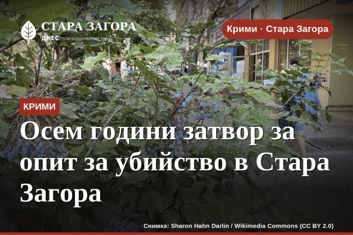 Осем години затвор за опит за убийство в Стара Загора