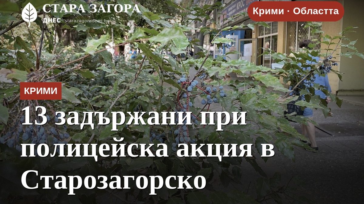 13 задържани при полицейска акция в Старозагорско