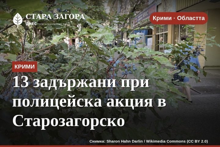 13 задържани при полицейска акция в Старозагорско