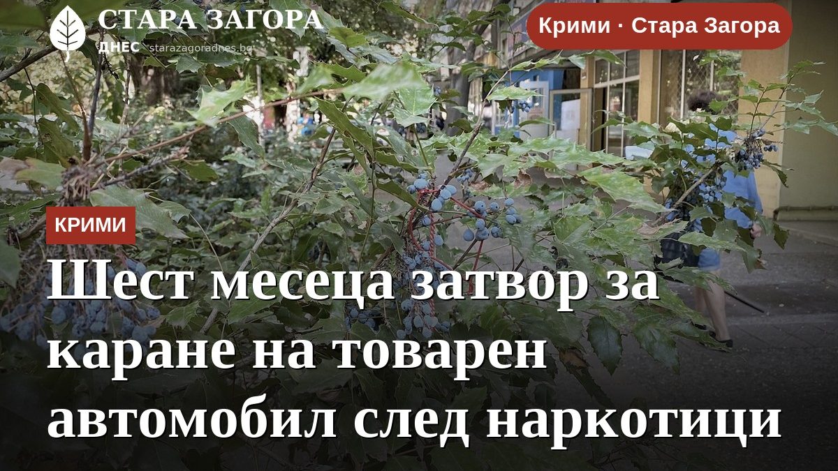 Шест месеца затвор за каране на товарен автомобил след наркотици