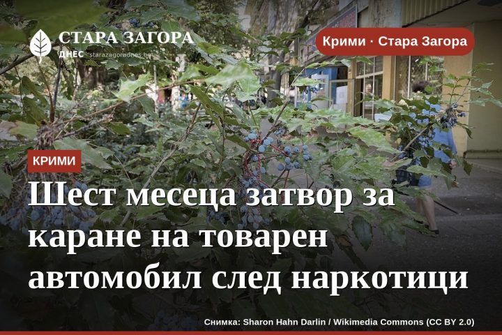 Шест месеца затвор за каране на товарен автомобил след наркотици