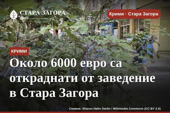 Около 6000 евро са откраднати от заведение в Стара Загора