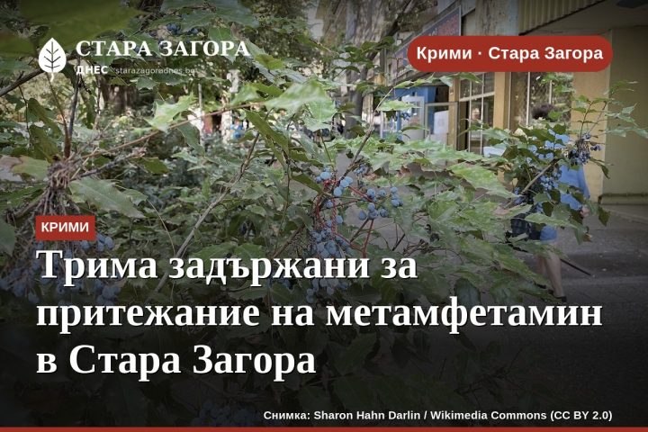 Трима задържани за притежание на метамфетамин в Стара Загора