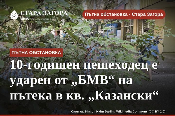 10-годишен пешеходец е ударен от „БМВ“ на пътека в кв. „Казански“