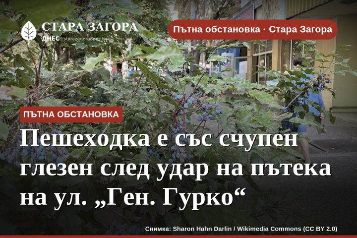 Пешеходка е със счупен глезен след удар на пътека на ул. „Ген. Гурко“
