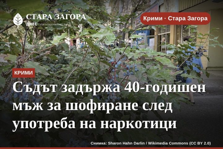 Съдът задържа 40-годишен мъж за шофиране след употреба на наркотици