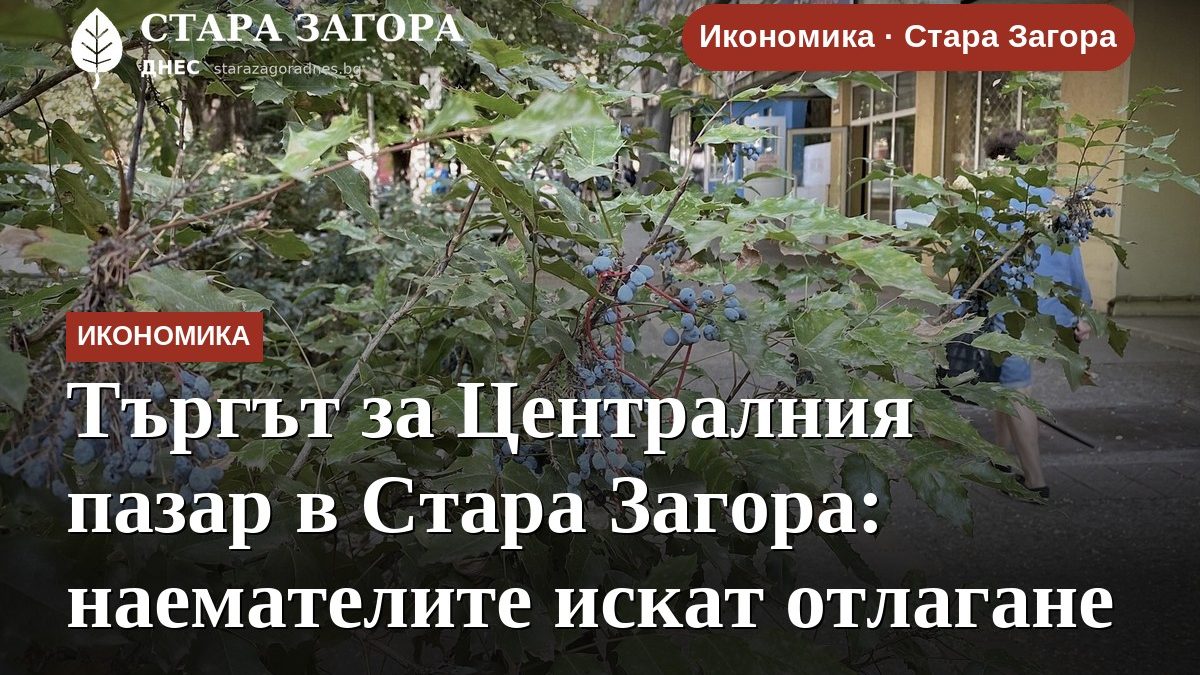 Търгът за Централния пазар в Стара Загора: наемателите искат отлагане