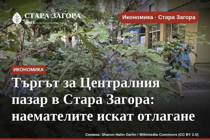 Търгът за Централния пазар в Стара Загора: наемателите искат отлагане