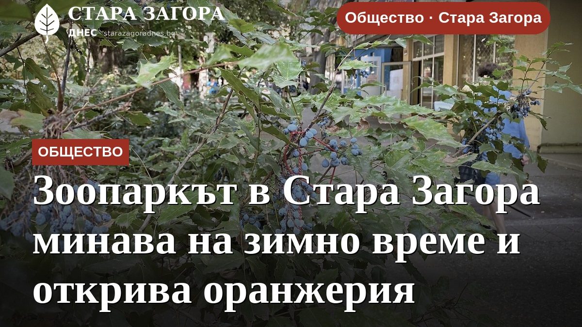 Зоопаркът в Стара Загора минава на зимно време и открива оранжерия