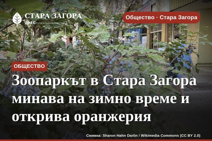 Зоопаркът в Стара Загора минава на зимно време и открива оранжерия